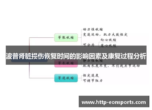 波普肾脏损伤恢复时间的影响因素及康复过程分析
