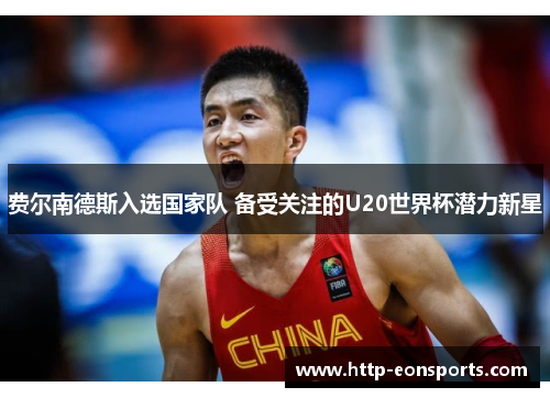 费尔南德斯入选国家队 备受关注的U20世界杯潜力新星