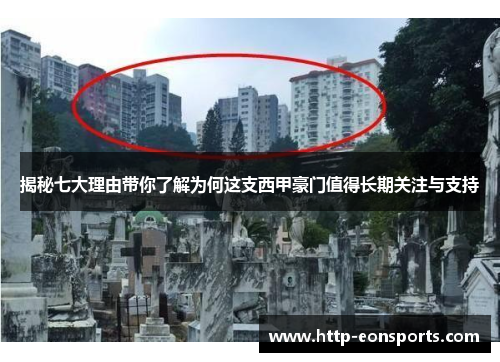 揭秘七大理由带你了解为何这支西甲豪门值得长期关注与支持